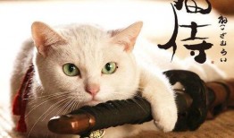 娱乐吃瓜君猫猫,揭秘娱乐圈那些不为人知的幕后故事